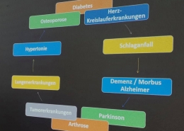 PROPHYLAXE Schulung - Sona Alkozei